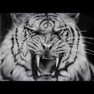 Meet your Posher, Traveon